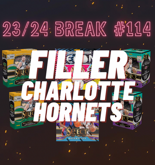 10 % Filler Charlotte Hornets AP Groupbreak #114